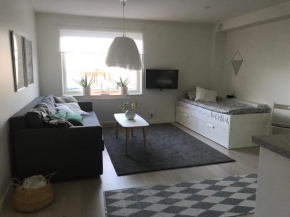 Mysig studiolägenhet i Västra G��teborg, Göteborg